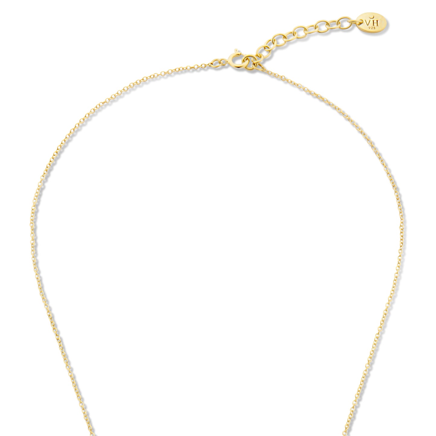 Venus 925 sterling silver gold plated necklace with birthflower